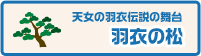 羽衣の松